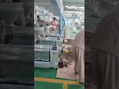 ماشین فشار روغن چیلی