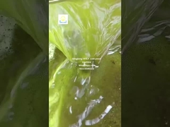 دستگاه فشار روغن دانه آفتابگردان