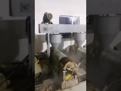 روغن دانه های گلاب ارگانیک سرد فشرده