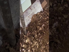 روغن دانه های انگور سرد