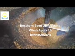 استخراج کننده روغن سرد فشار