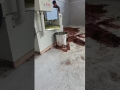 دستگاه روغن سرد فشار